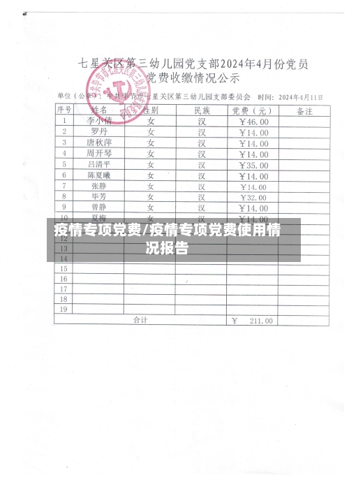 疫情专项党费/疫情专项党费使用情况报告-第3张图片