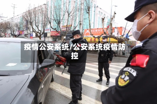 疫情公安系统/公安系统疫情防控-第3张图片