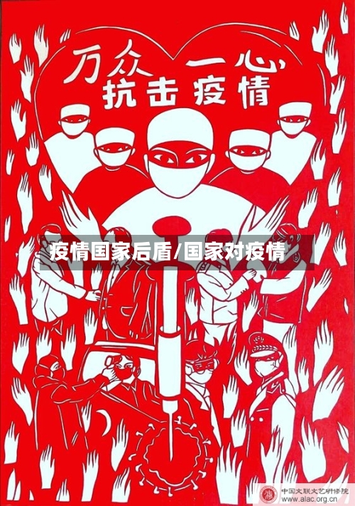 疫情国家后盾/国家对疫情