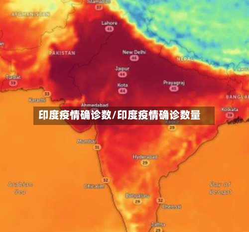 印度疫情确诊数/印度疫情确诊数量-第3张图片