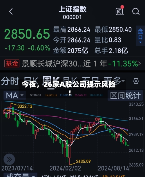 今夜，26家A股公司提示风险！-第2张图片