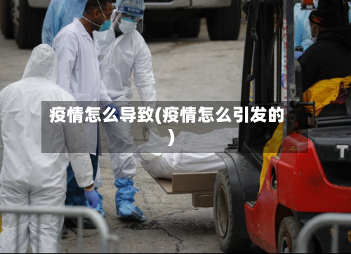 疫情怎么导致(疫情怎么引发的)