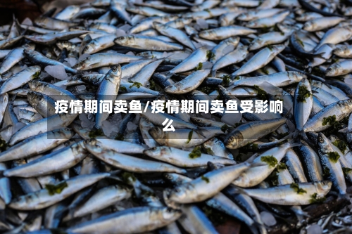 疫情期间卖鱼/疫情期间卖鱼受影响么