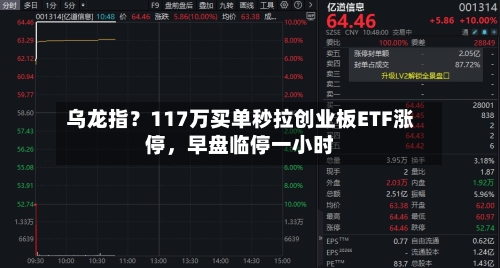 乌龙指？117万买单秒拉创业板ETF涨停，早盘临停一小时-第3张图片
