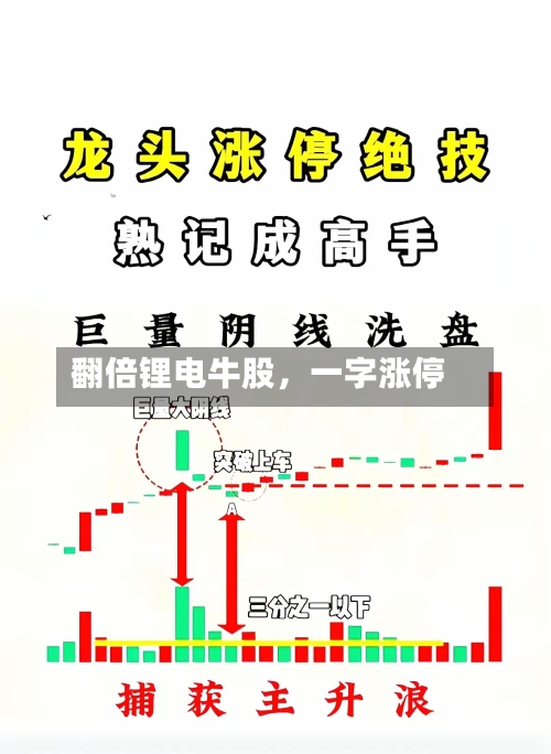 翻倍锂电牛股	，一字涨停-第2张图片