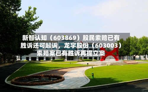 新智认知（603869）股民索赔已有胜诉还可起诉，龙宇股份（603003）索赔案已有胜诉再提立案
