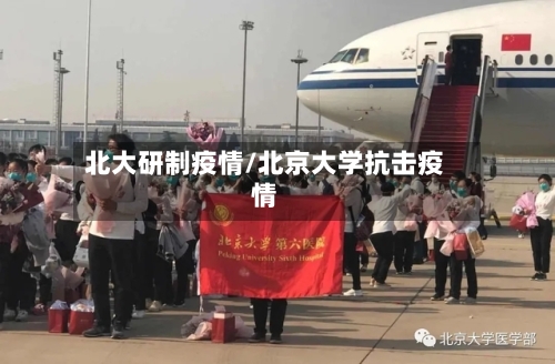 北大研制疫情/北京大学抗击疫情