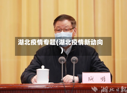 湖北疫情专题(湖北疫情新动向)