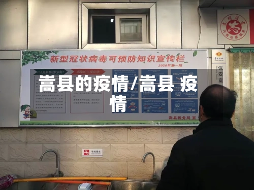 嵩县的疫情/嵩县 疫情
