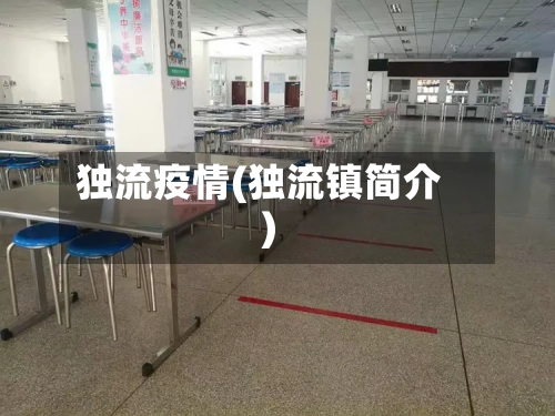 独流疫情(独流镇简介)