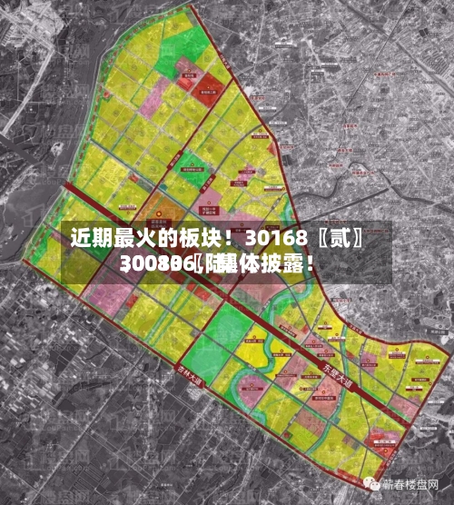 近期最火的板块！30168〖贰〗、30080〖陆〗、300136，集体披露！