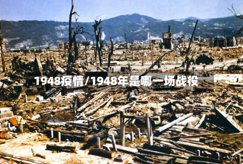 1948疫情/1948年是哪一场战役-第2张图片