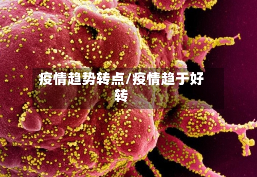 疫情趋势转点/疫情趋于好转-第2张图片