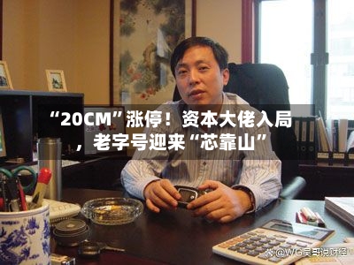 “20CM”涨停！资本大佬入局，老字号迎来“芯靠山	”-第2张图片