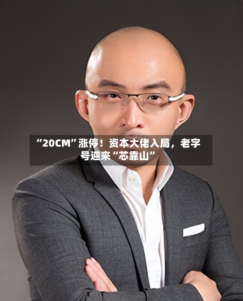 “20CM”涨停！资本大佬入局，老字号迎来“芯靠山”-第3张图片