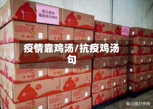 疫情靠鸡汤/抗疫鸡汤句-第2张图片