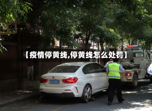 【疫情停黄线,停黄线怎么处罚】-第3张图片