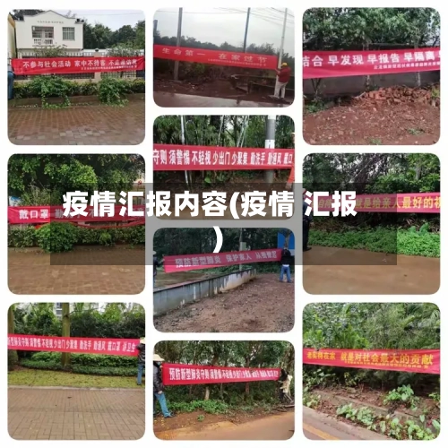 疫情汇报内容(疫情 汇报)