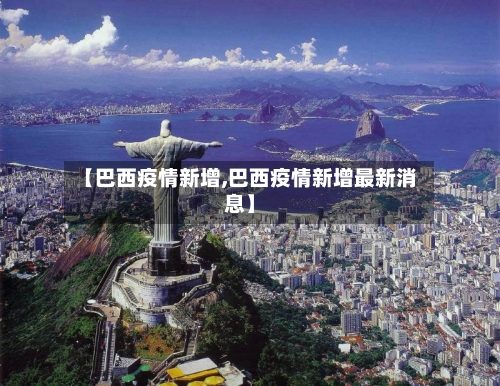 【巴西疫情新增,巴西疫情新增最新消息】-第2张图片