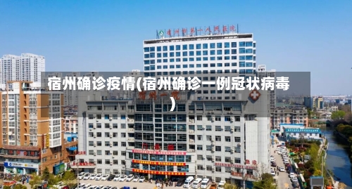 宿州确诊疫情(宿州确诊一例冠状病毒)-第2张图片