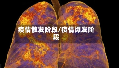 疫情散发阶段/疫情爆发阶段-第3张图片