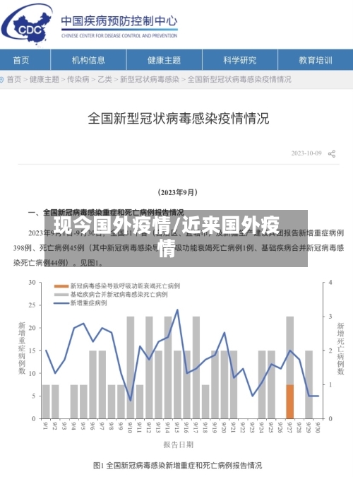 现今国外疫情/近来国外疫情
