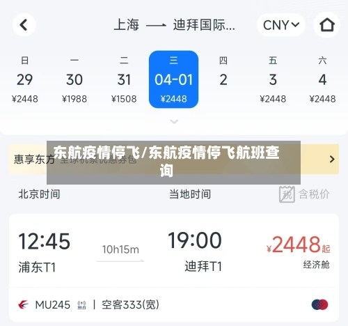 东航疫情停飞/东航疫情停飞航班查询