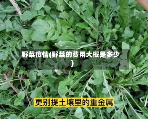 野菜疫情(野菜的费用大概是多少)-第2张图片