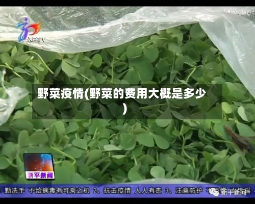 野菜疫情(野菜的费用大概是多少)