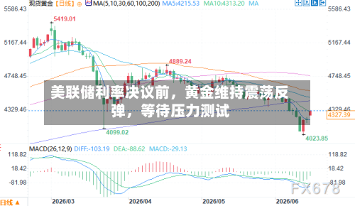 美联储利率决议前，黄金维持震荡反弹，等待压力测试-第3张图片
