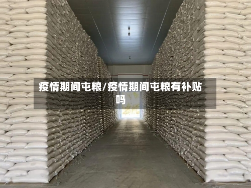 疫情期间屯粮/疫情期间屯粮有补贴吗-第3张图片