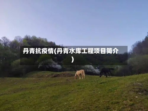 丹青抗疫情(丹青水库工程项目简介)