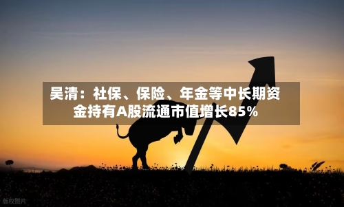 吴清：社保、保险、年金等中长期资金持有A股流通市值增长85%