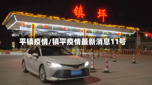平镇疫情/镇平疫情最新消息11号-第2张图片