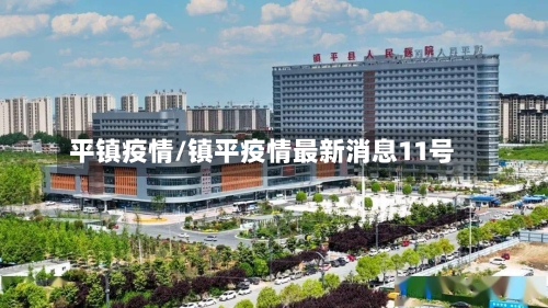 平镇疫情/镇平疫情最新消息11号-第3张图片