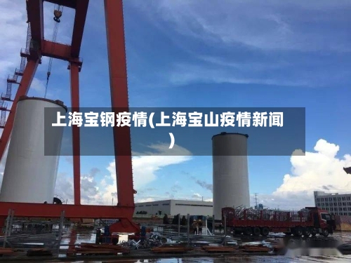 上海宝钢疫情(上海宝山疫情新闻)-第2张图片