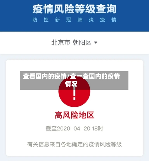 查看国内的疫情/查一查国内的疫情情况