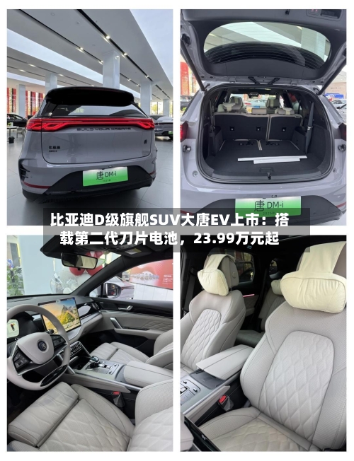 比亚迪D级旗舰SUV大唐EV上市：搭载第二代刀片电池	，23.99万元起-第2张图片