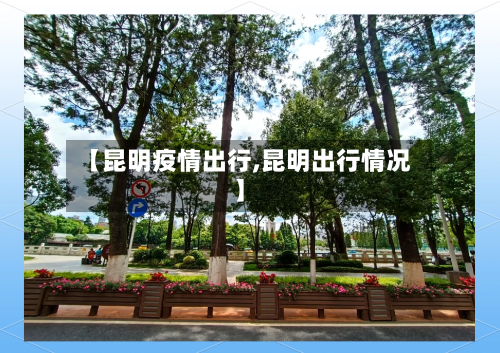 【昆明疫情出行,昆明出行情况】