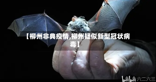 【柳州非典疫情,柳州疑似新型冠状病毒】