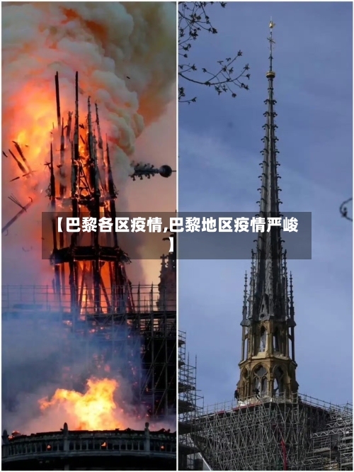 【巴黎各区疫情,巴黎地区疫情严峻】-第3张图片