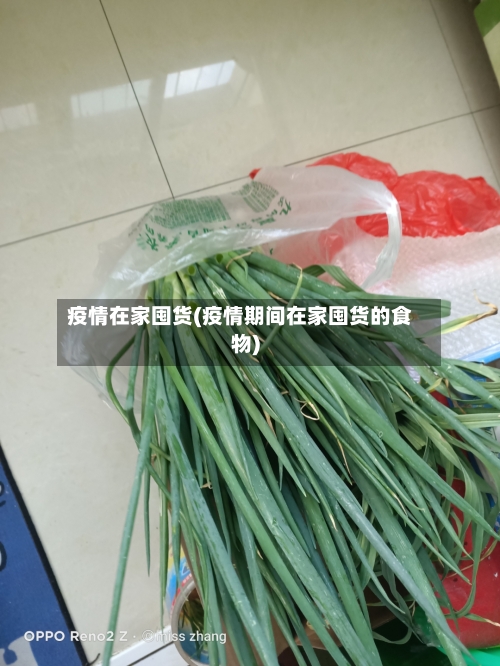 疫情在家囤货(疫情期间在家囤货的食物)
