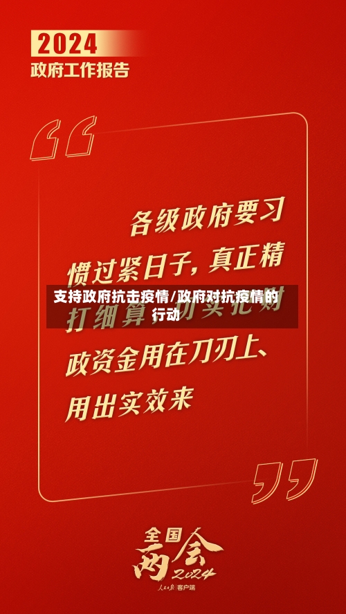 支持政府抗击疫情/政府对抗疫情的行动