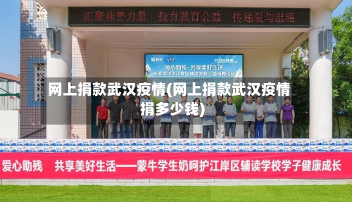 网上捐款武汉疫情(网上捐款武汉疫情捐多少钱)