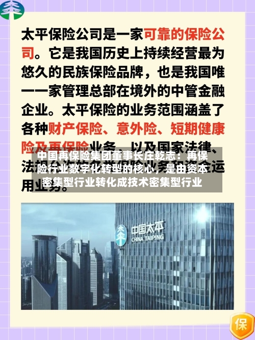 中国再保险集团董事长庄乾志：再保险行业数字化转型的核心，是由资本密集型行业转化成技术密集型行业-第3张图片