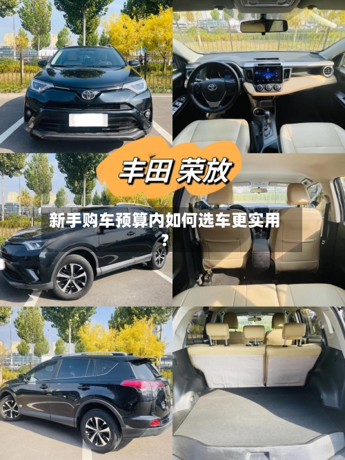 新手购车预算内如何选车更实用?-第2张图片