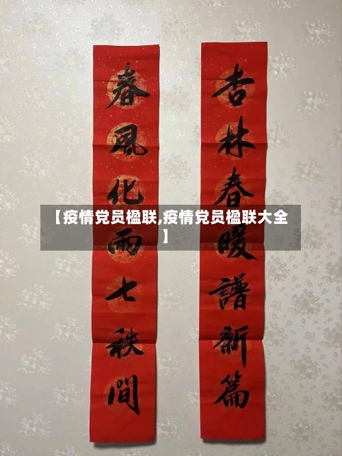 【疫情党员楹联,疫情党员楹联大全】
