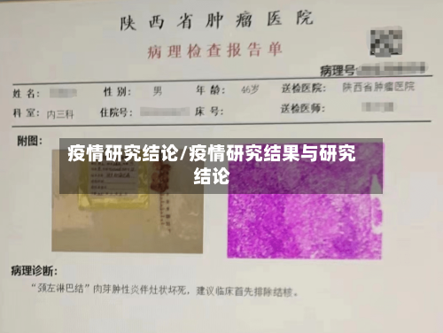 疫情研究结论/疫情研究结果与研究结论