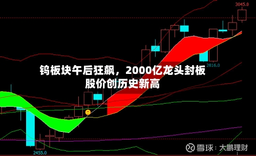 钨板块午后狂飙，2000亿龙头封板股价创历史新高