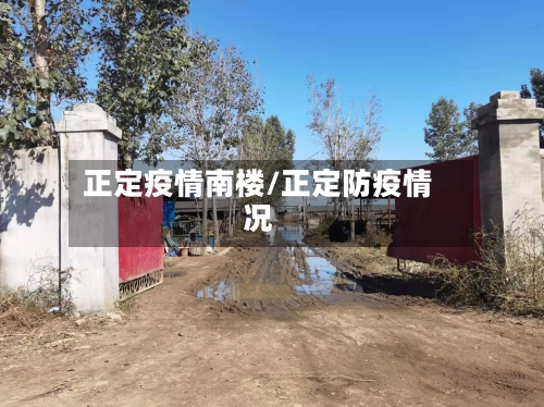 正定疫情南楼/正定防疫情况